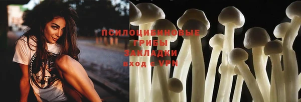 spice Алзамай