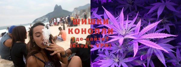 spice Алзамай