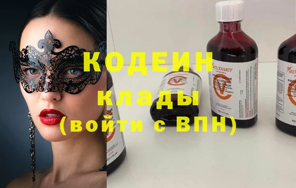 дурь Алексин