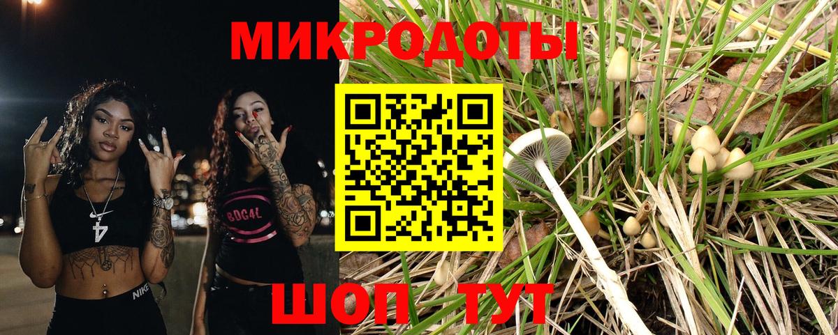 Галлюциногенные грибы мухоморы Кропоткин