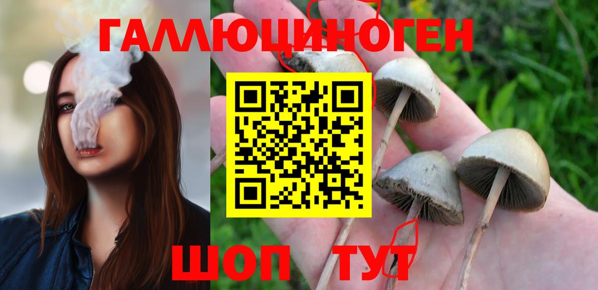 Галлюциногенные грибы прущие грибы  Вход с VPN  Кропоткин 